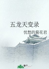 五龙天变录