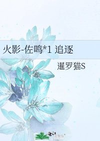 火影-佐鳴*1 追逐