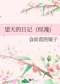 望天的日记(综漫)