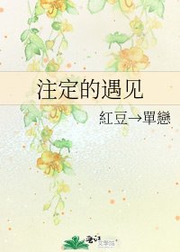 注定的遇见