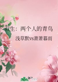 双生:两个人的青鸟