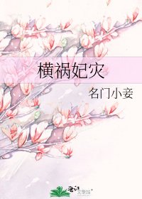横祸妃灾