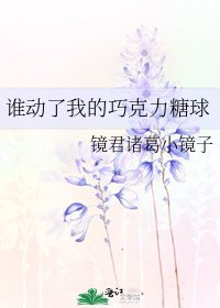 谁动了我的巧克力糖球