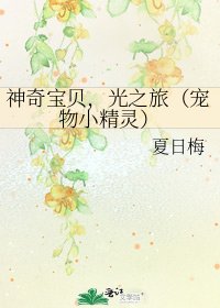 《神奇寶貝,光之旅(寵物小精靈)》