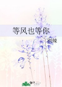 等风也等你