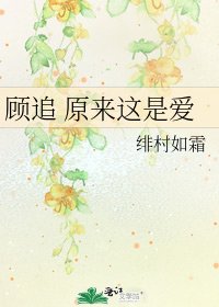 顾追 原来这是爱