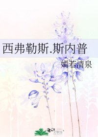 西弗勒斯.斯内普