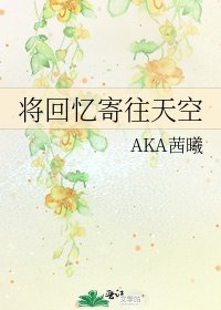 將回憶寄往天空