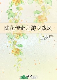 陆花传奇之游龙戏凤