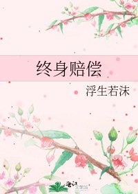 终身赔偿