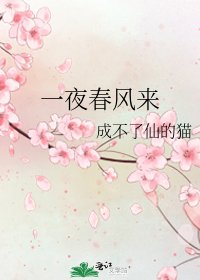 《一夜春風來》