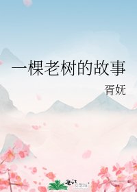 一棵老树的故事