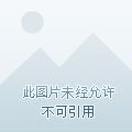 《榛香攻略》