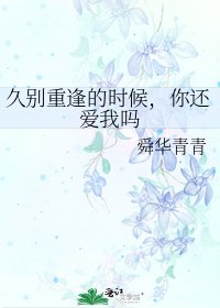 久别重逢的时候,你还爱我吗