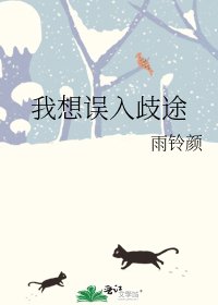 我想误入歧途