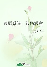 遗愿系统,包您满意
