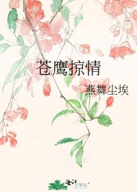 苍鹰掠情