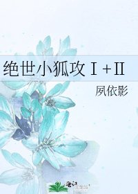 绝世小狐攻Ⅰ+Ⅱ