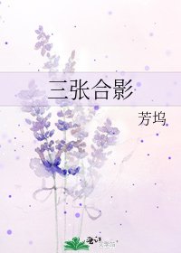 三张合影