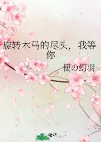 旋转木马的尽头,我等你