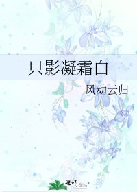 只影凝霜白