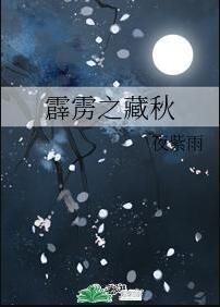 （霹靂同人）霹靂之藏秋
