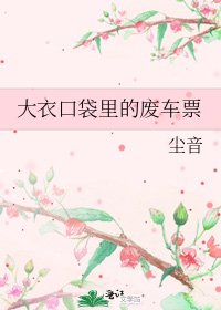 大衣口袋里的废车票