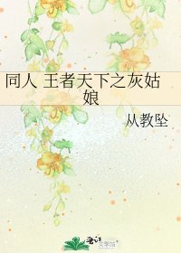 同人 王者天下之灰姑娘