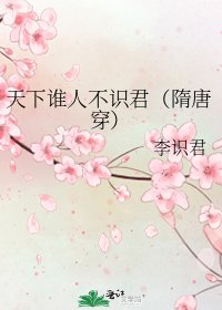 天下誰人不識君(隋唐穿)