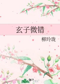 《玄子微錯》