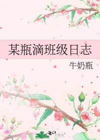 某瓶滴班级日志
