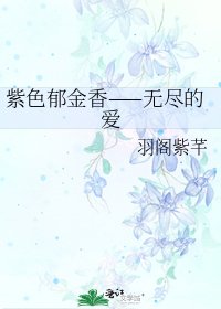 紫色郁金香——无尽的爱