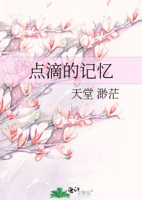 點滴的記憶