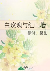 白玫瑰与红山墙