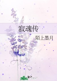 寂魂传