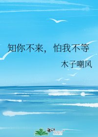 知你不来,怕我不等