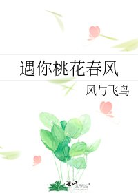 遇你桃花春风