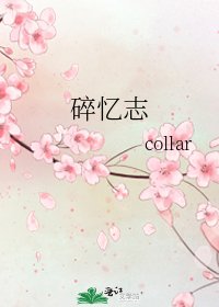 碎忆志