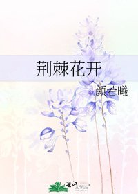 荆棘花开