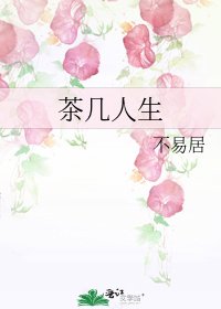 茶几人生