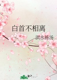 白首不相離