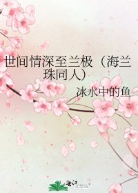 世间情深至兰极(海兰珠同人)