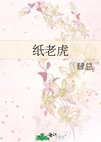 纸老虎