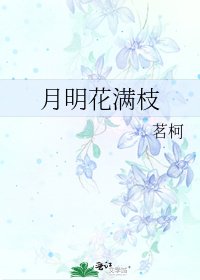 月明花满枝