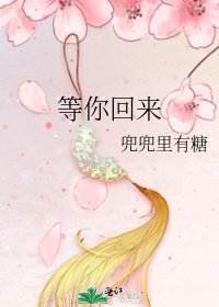 等你回来