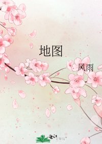地图