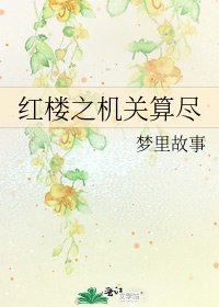 红楼之机关算尽
