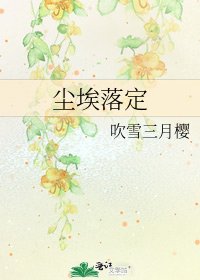 尘埃落定