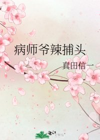 病师爷辣捕头