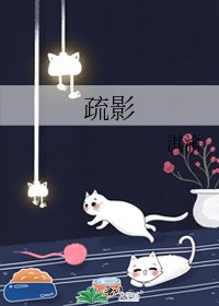 《疏影》